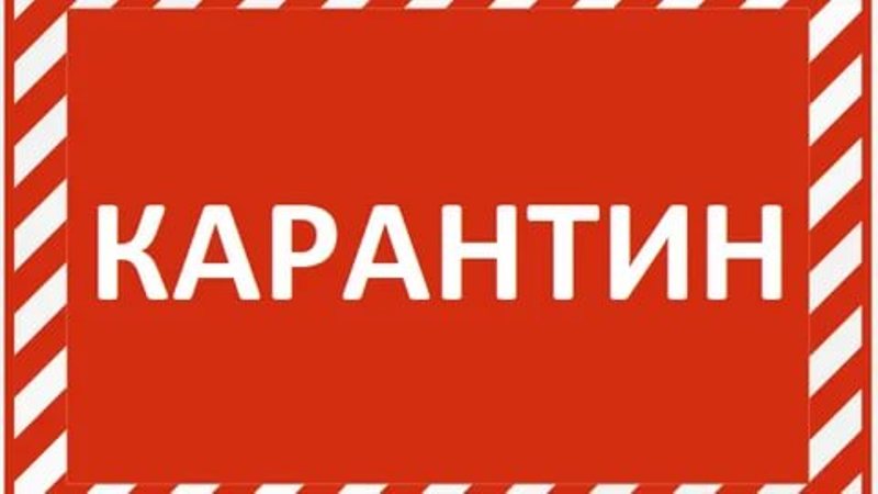 Снова дома