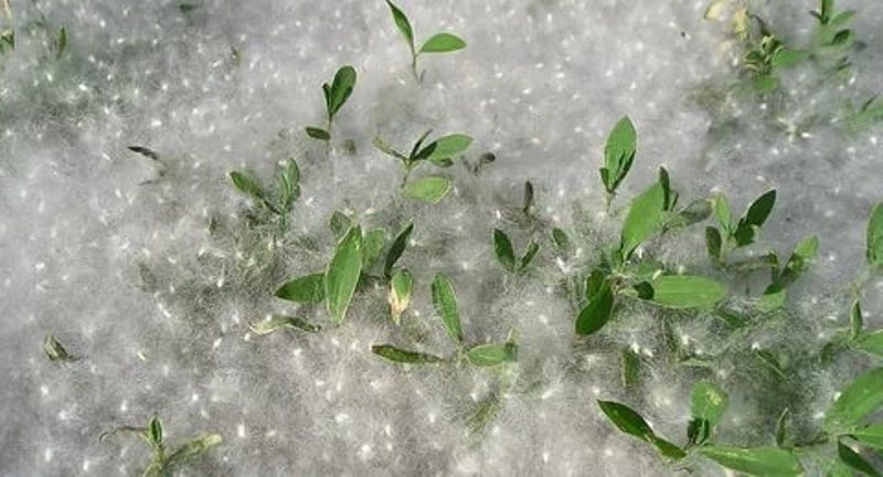 Купайся аккуратно и не жги