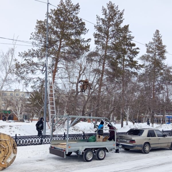 Снегири прилетели. Фото дня