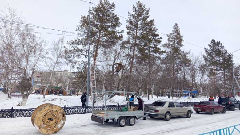 Снегири прилетели. Фото дня
